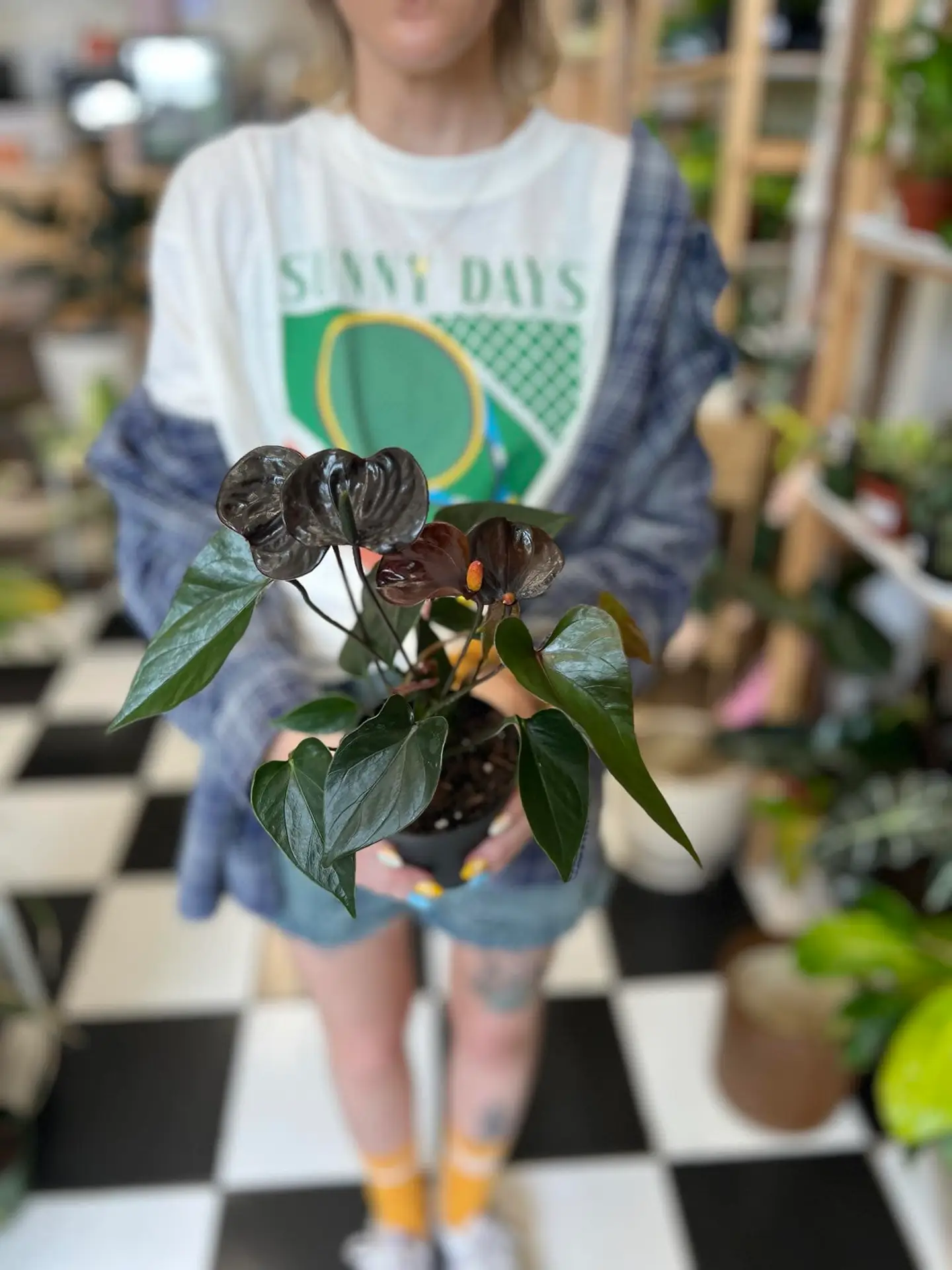 Plants + Coffee Easton PA Easton Restaurant Week